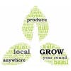 VH Hydroponics logo