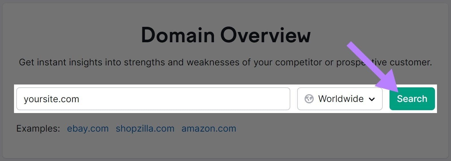 Screenshot of the domain overview tool with "yoursite.com" in the search bar