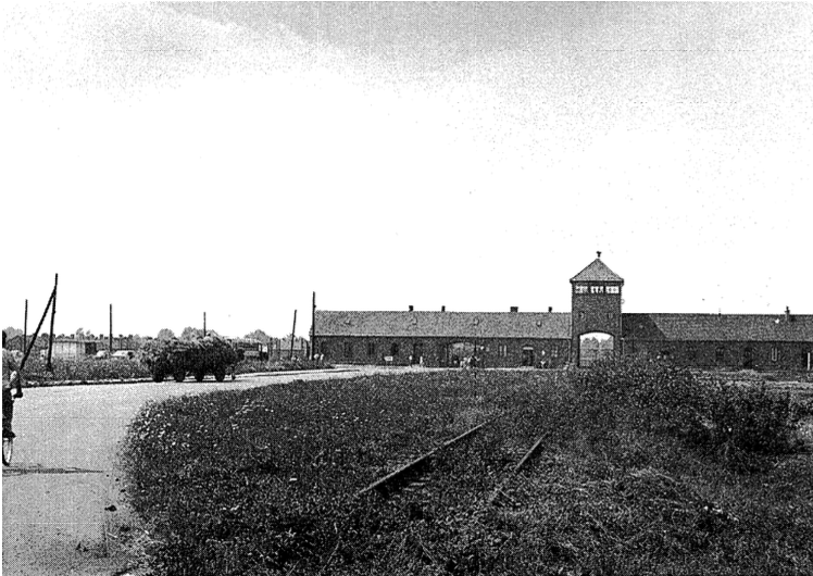 Fulbrook_Germany_II-1.pdf 2024-10-29 19-09-45.png