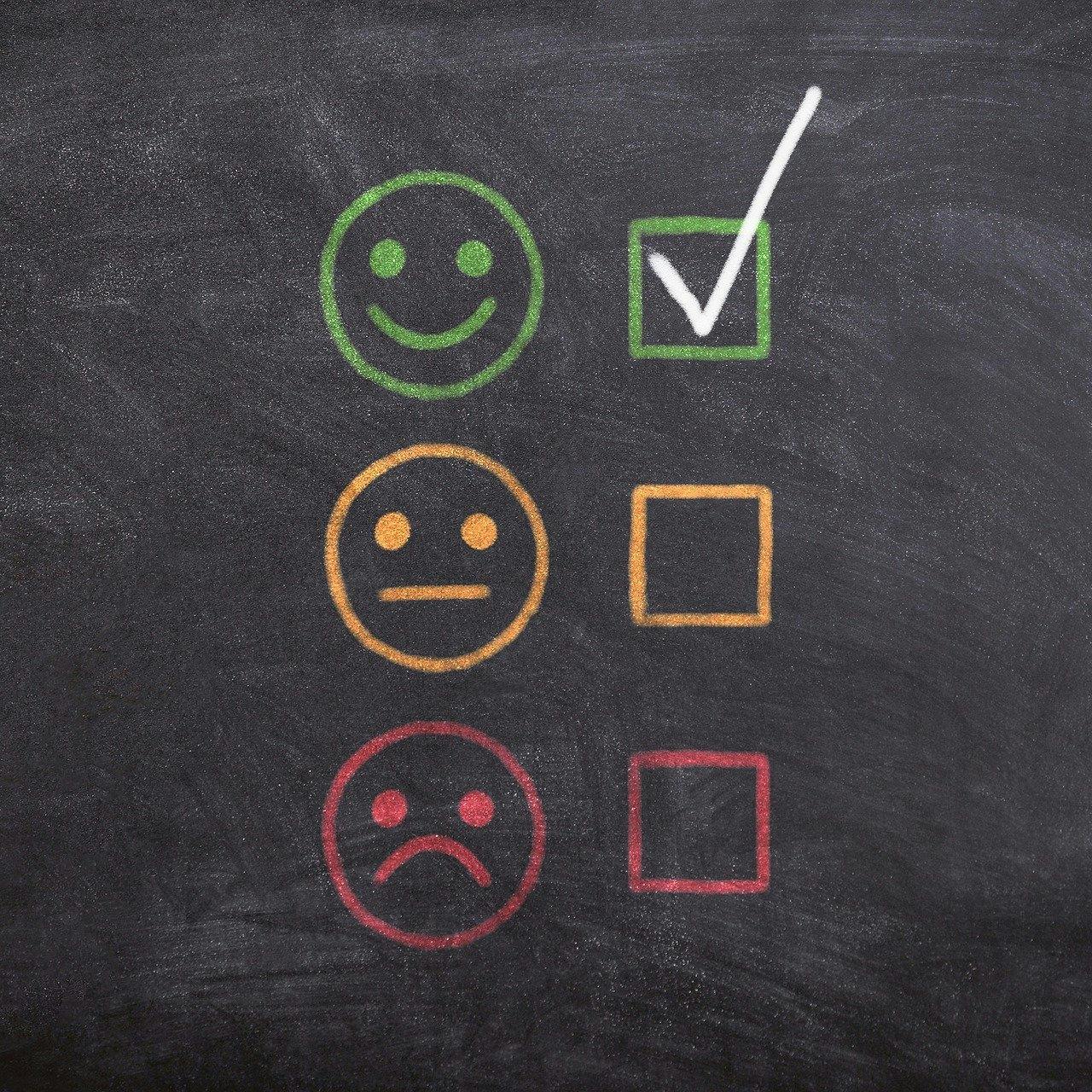 Open evaluations of the MEPA offer