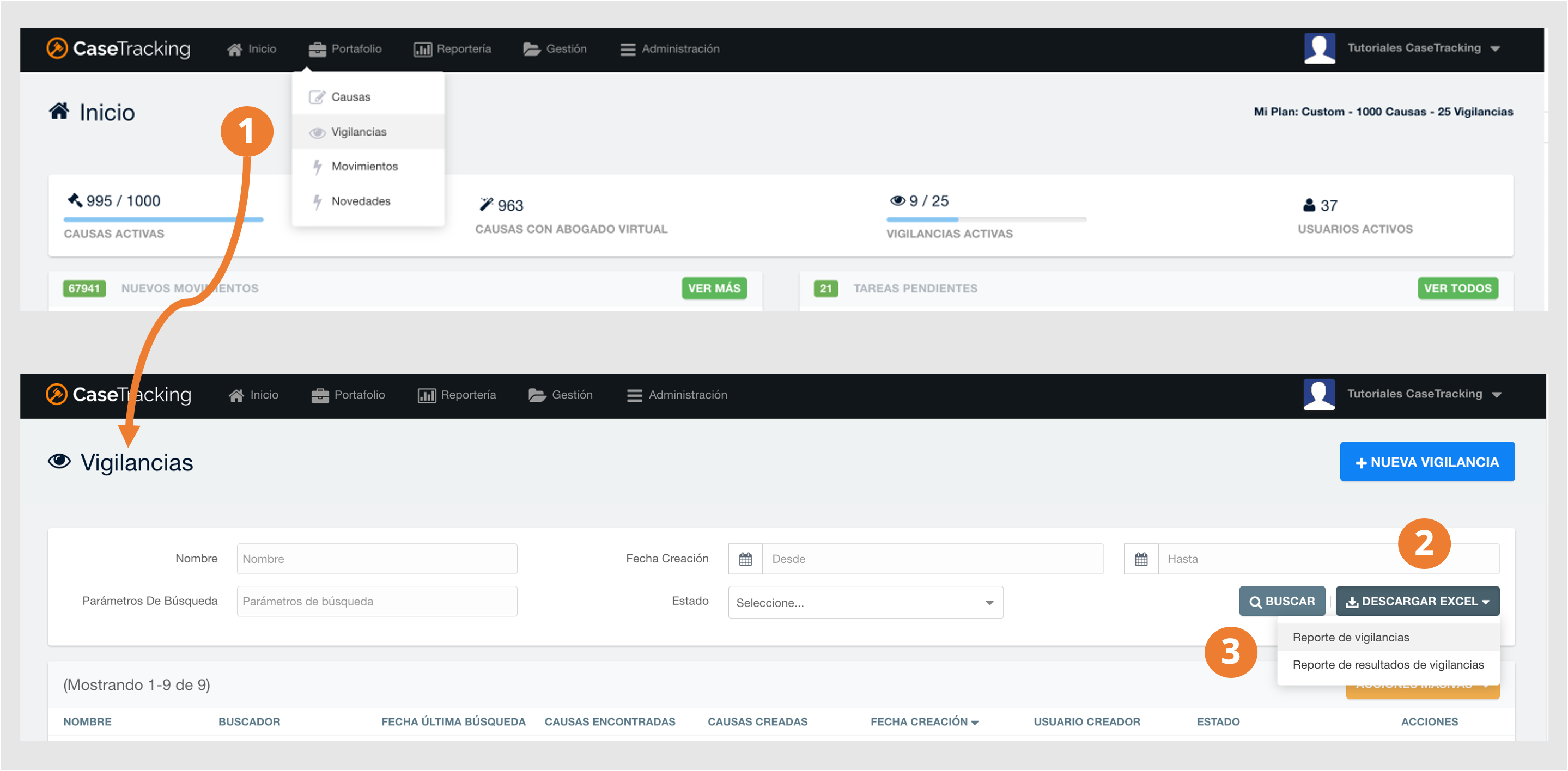 instructivo vigilancias.png