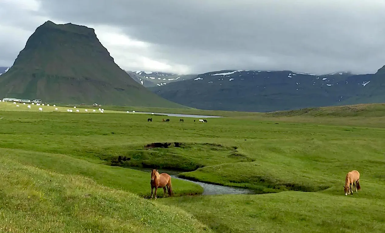 20 sept 21 Berg Cabin.jpg