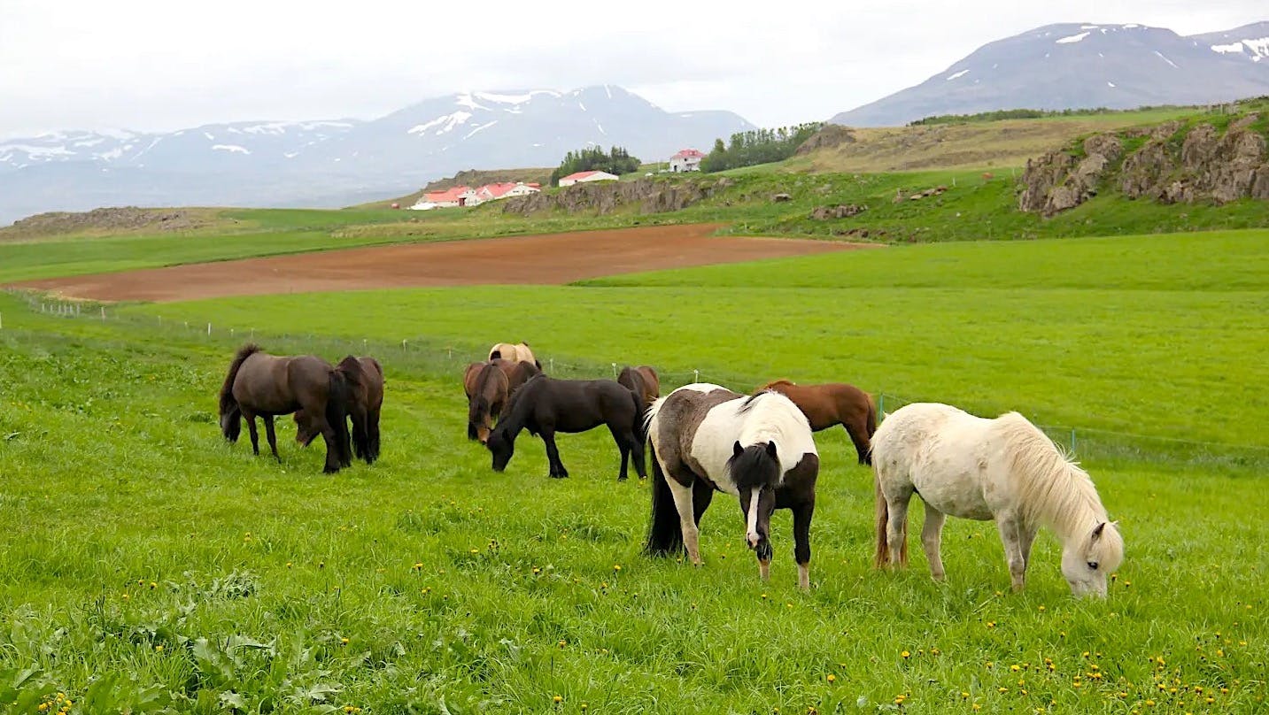 15 sept 14 Elvar.jpeg