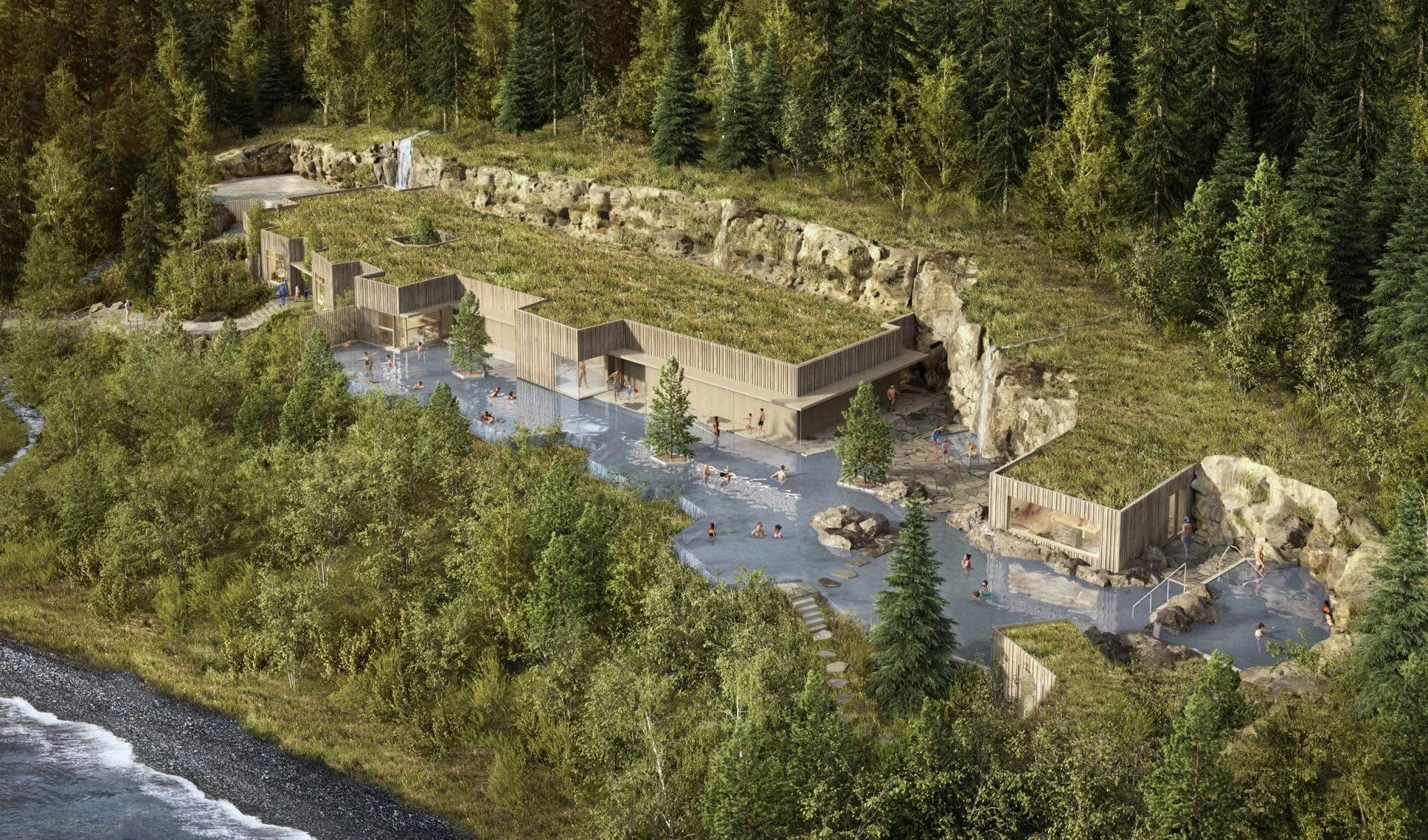 18 sept 15 Forest.jpeg