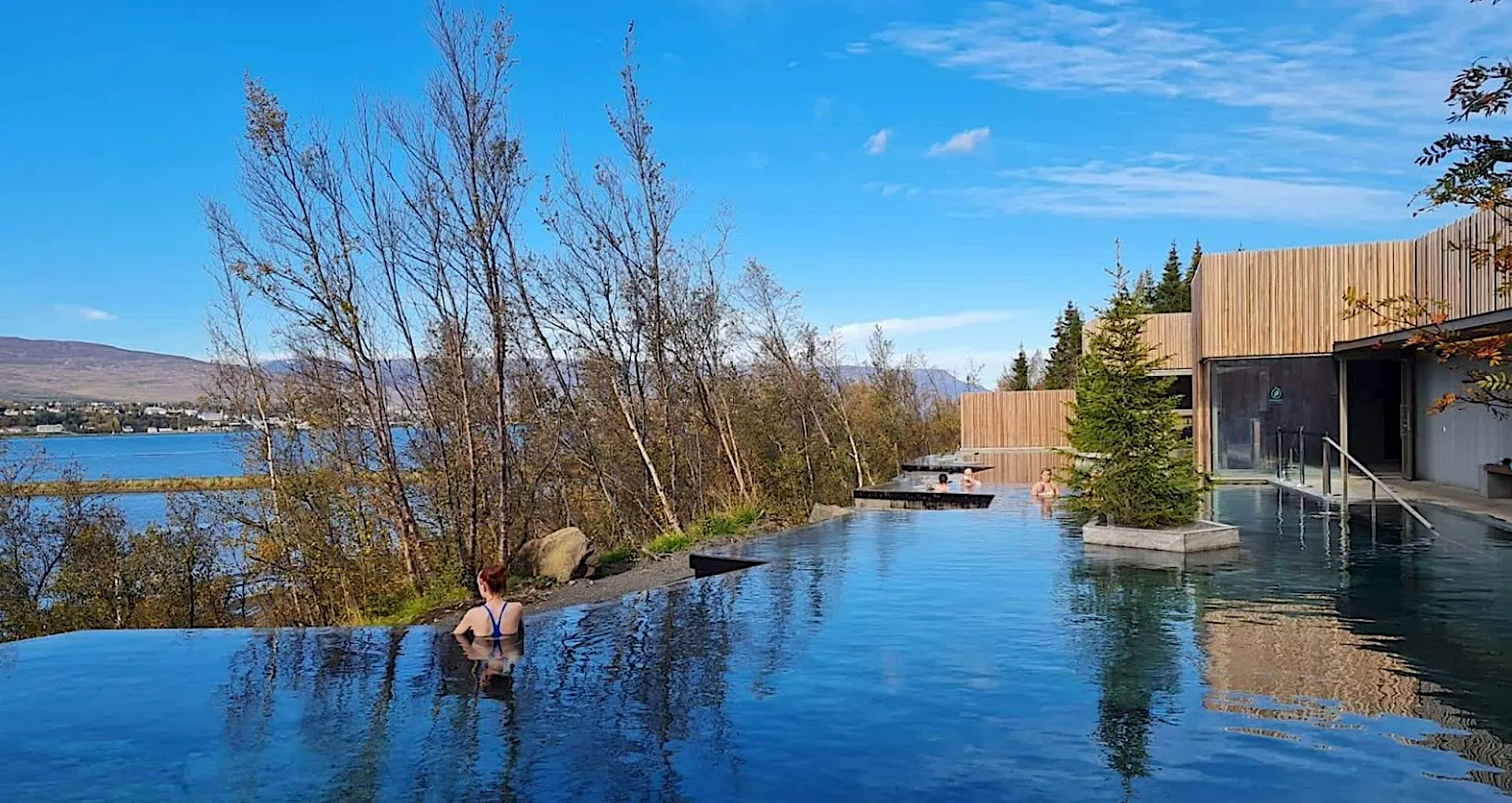 17 sept 15 Forest.jpg