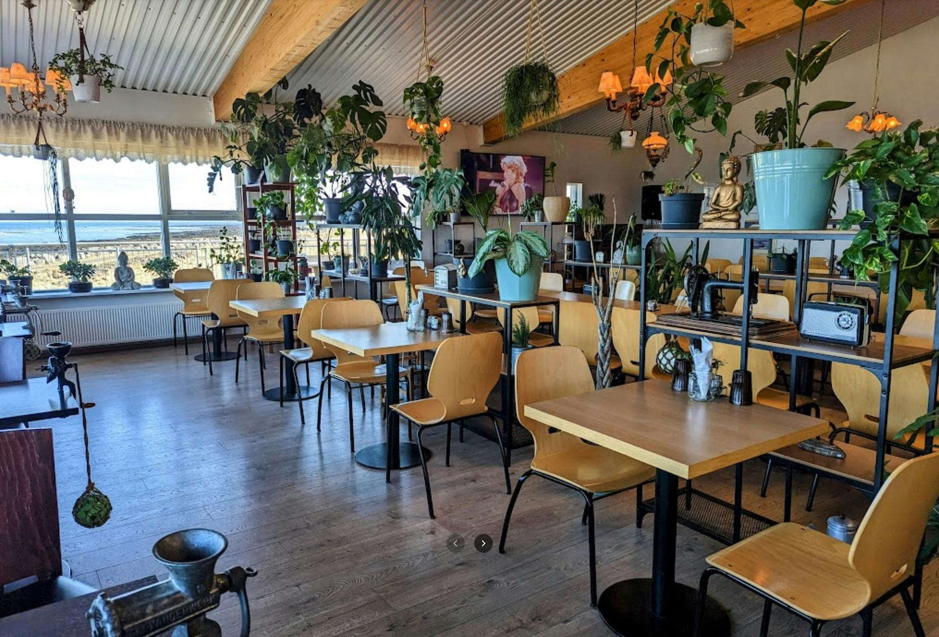 24 sept 02 Rostin.jpeg