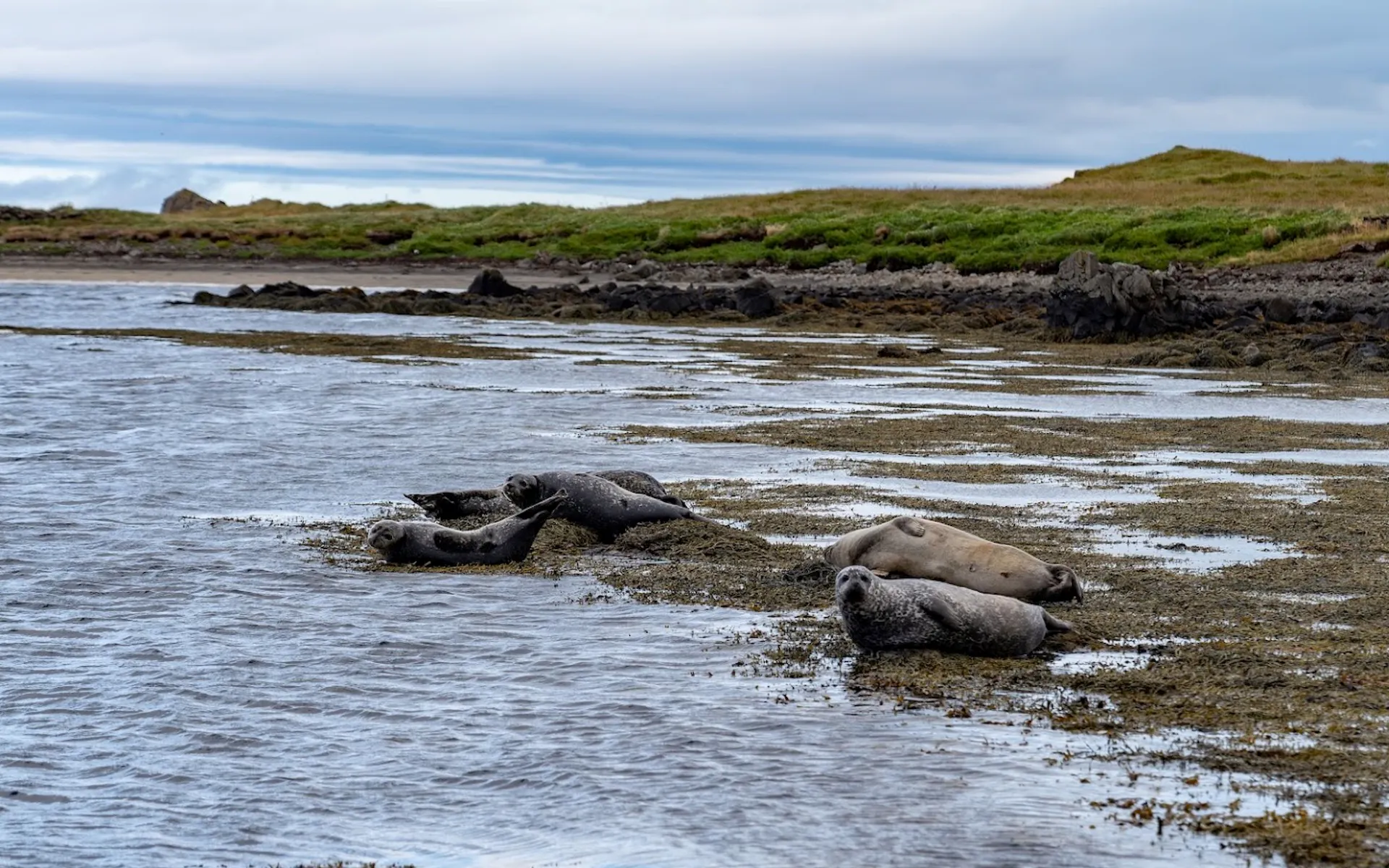 14 sept 05 Illugastadir.jpeg