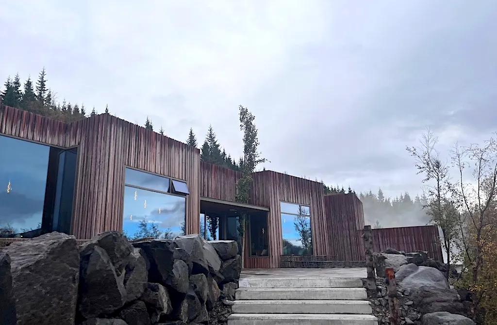 17 sept 14 Forest.jpeg