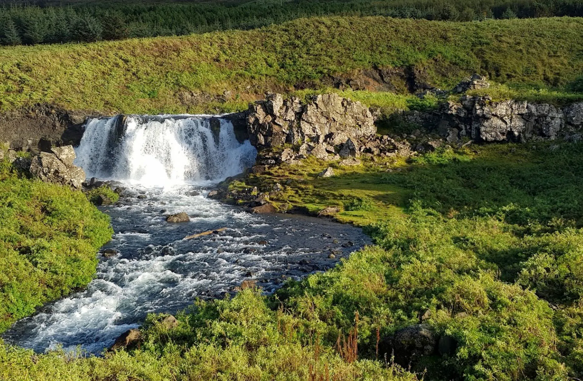 22 sept 08 Fossarett.jpg