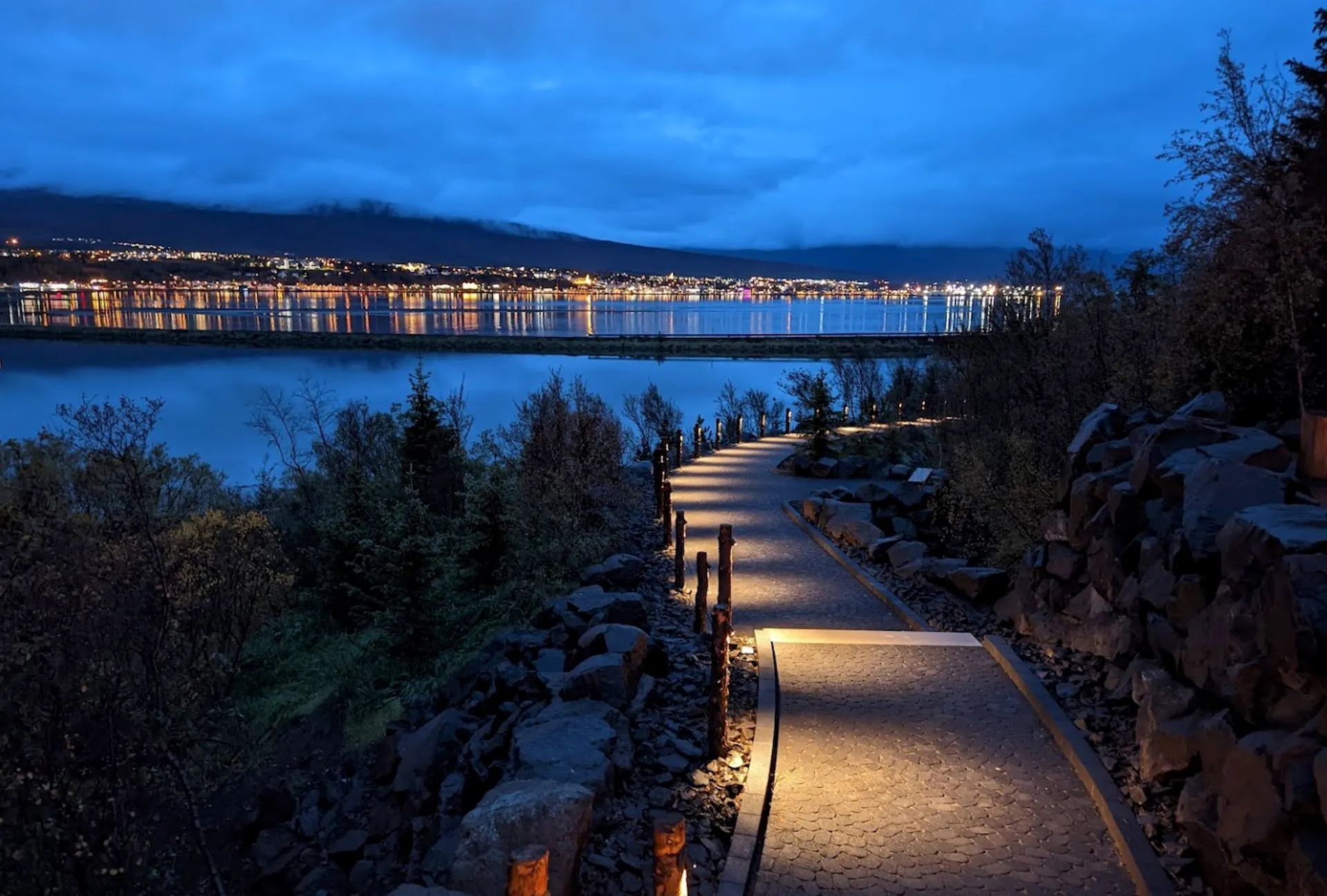 17 sept 16 Forest.jpg