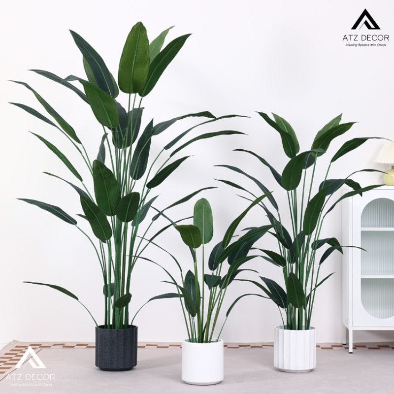 cay dong rieng gia decor dep.jpg