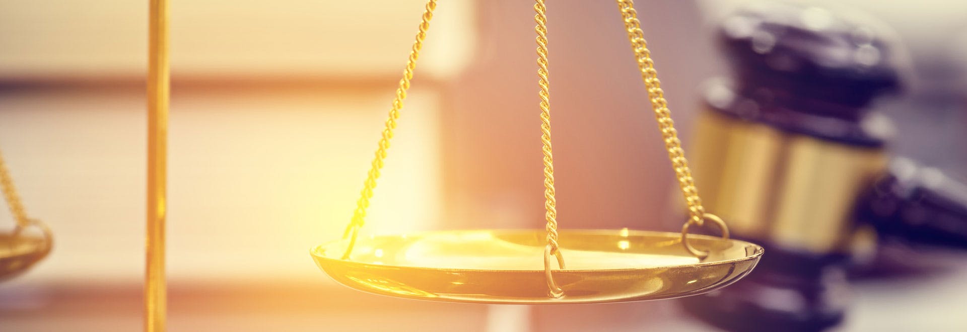 Banner-01-1.jpg