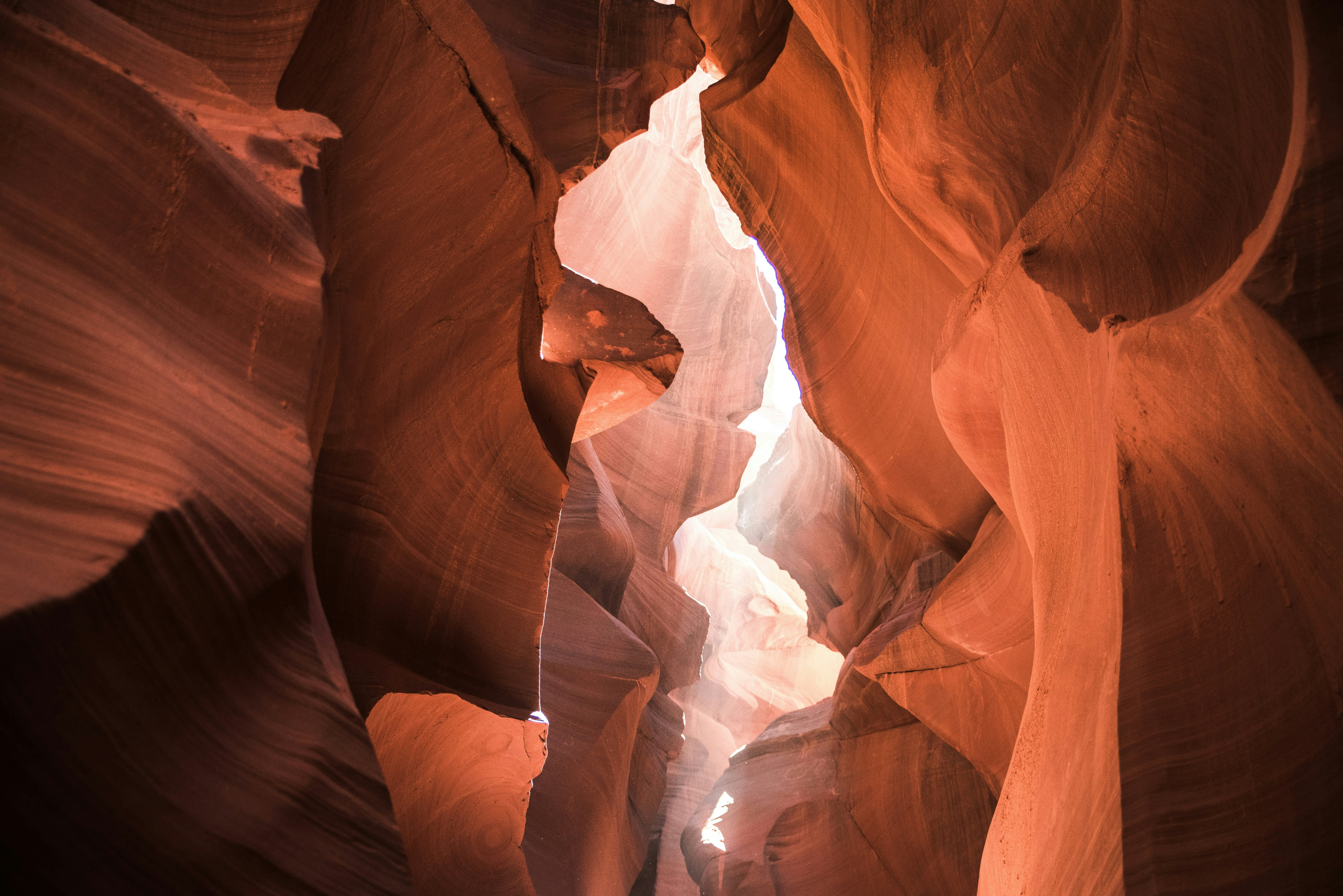 unsplash_canyon.jpg