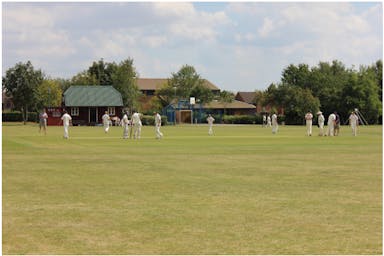 Cricket at the Windmill.png