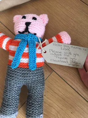 Teddy.jpg