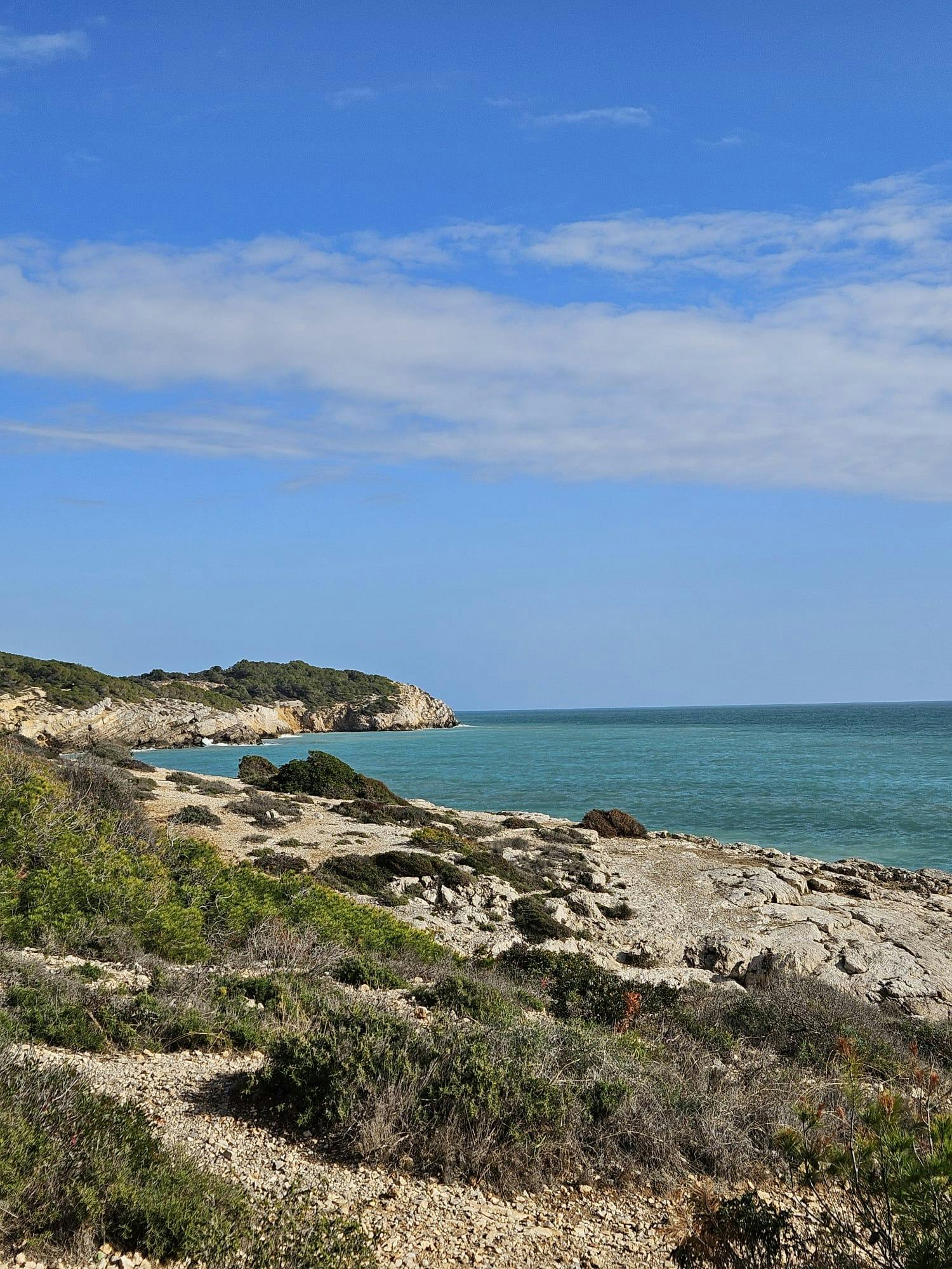 WhatsApp Image 2024-01-24 at 18.35.15 (1).jpeg