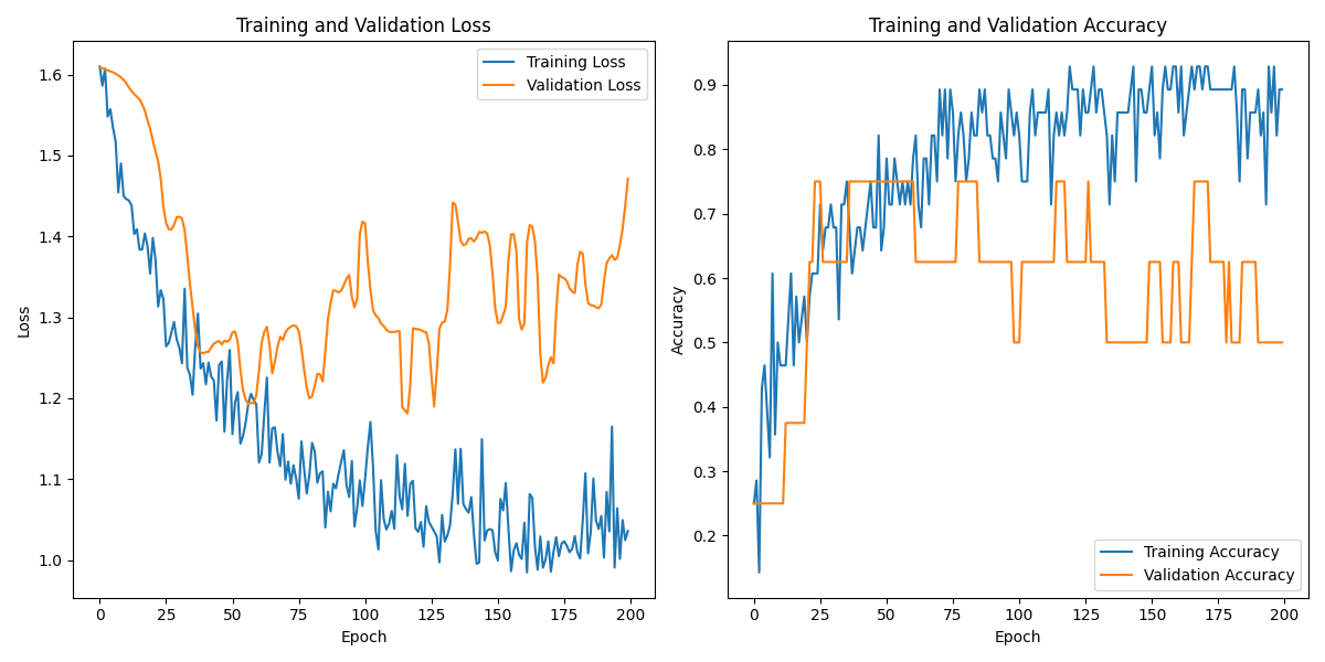 S02S02_labeled_eeg_data_W5.csv_loss_plot.png
