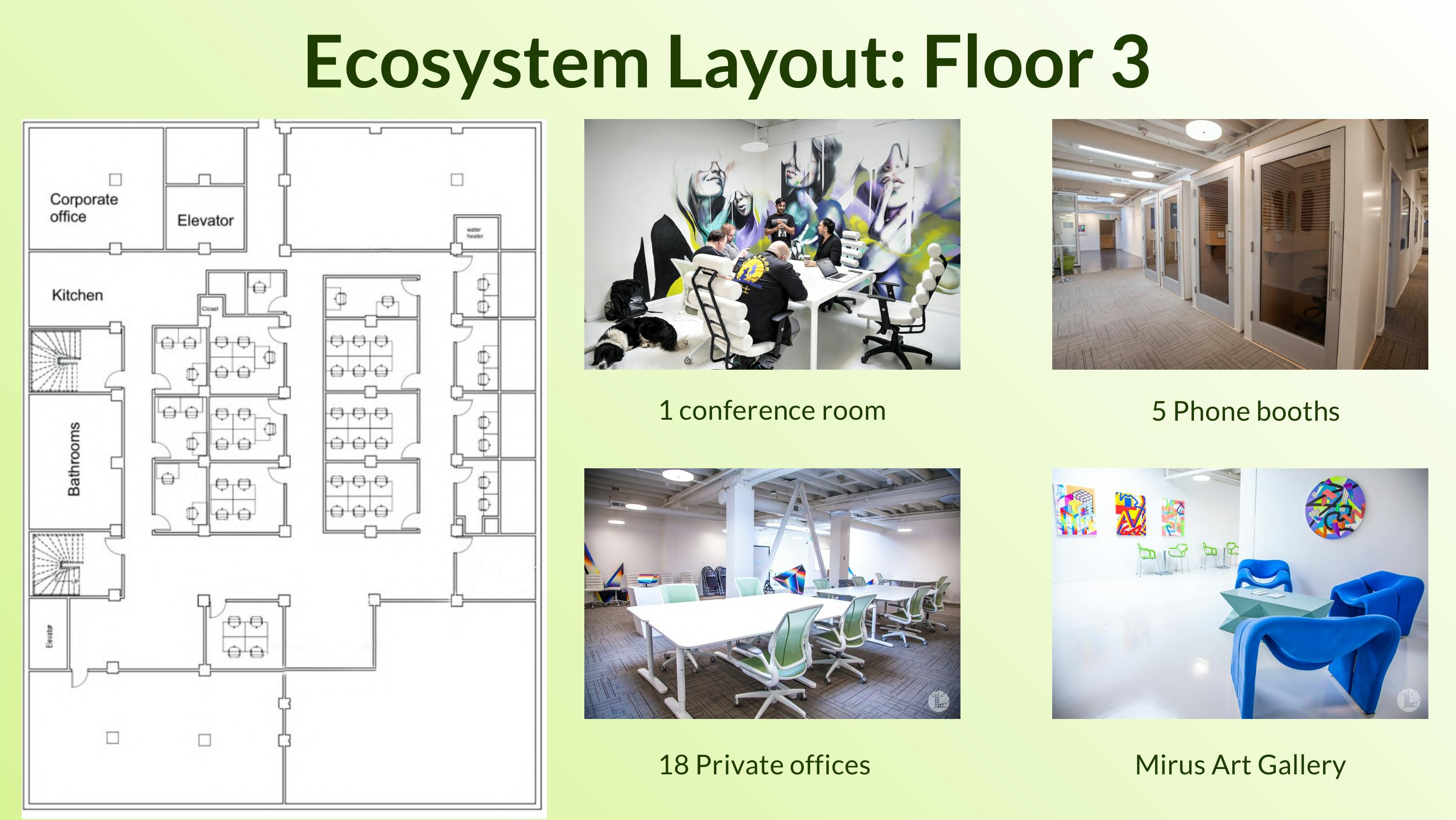 Ecosystem Presentation- Runway-9.png