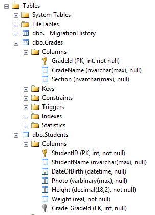 Entity Properties in Entity Framework