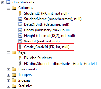 Entity Properties in Entity Framework