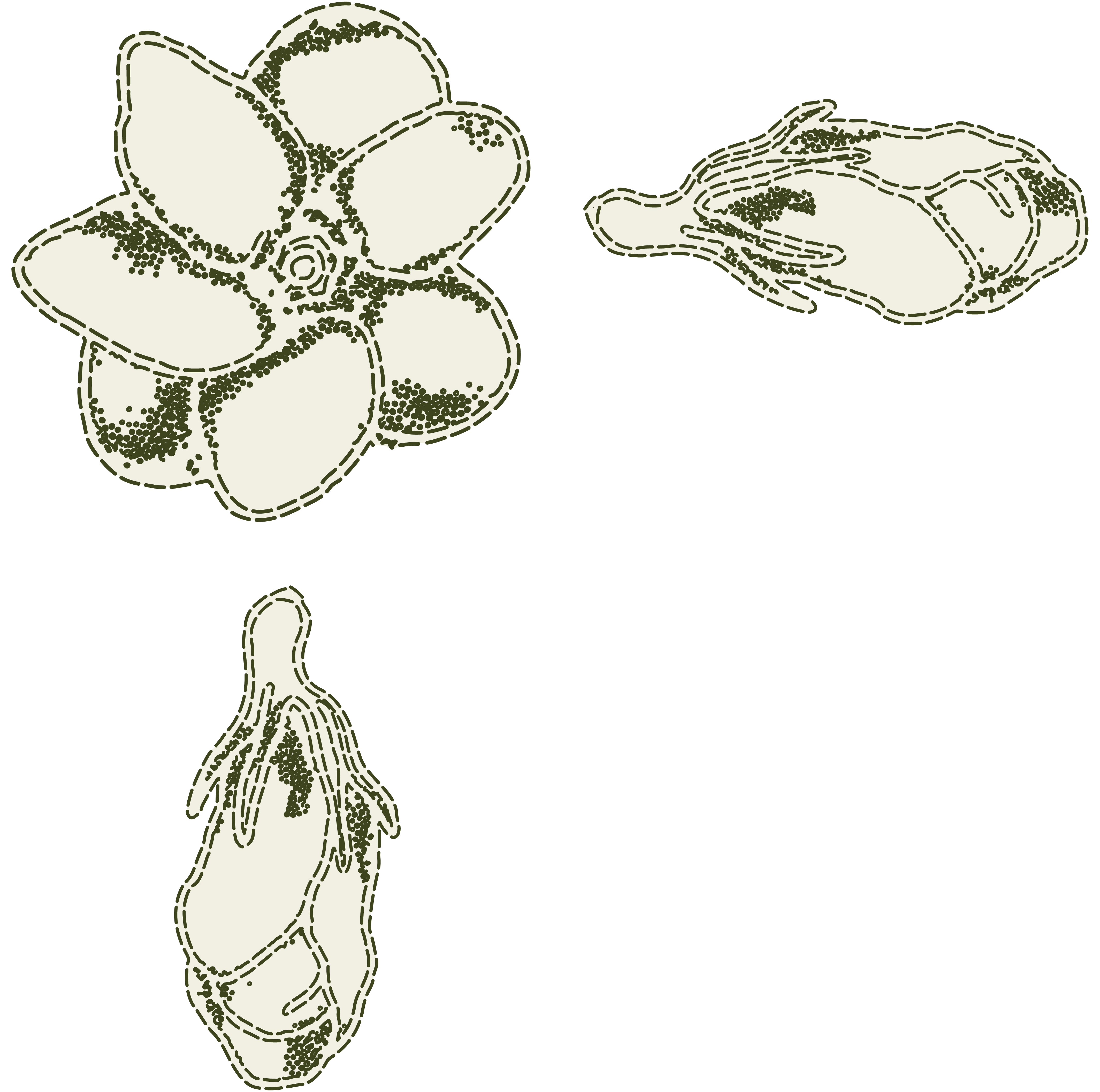 Masanting Sastreria - Illustrations - Grouped Illustration - 1.png