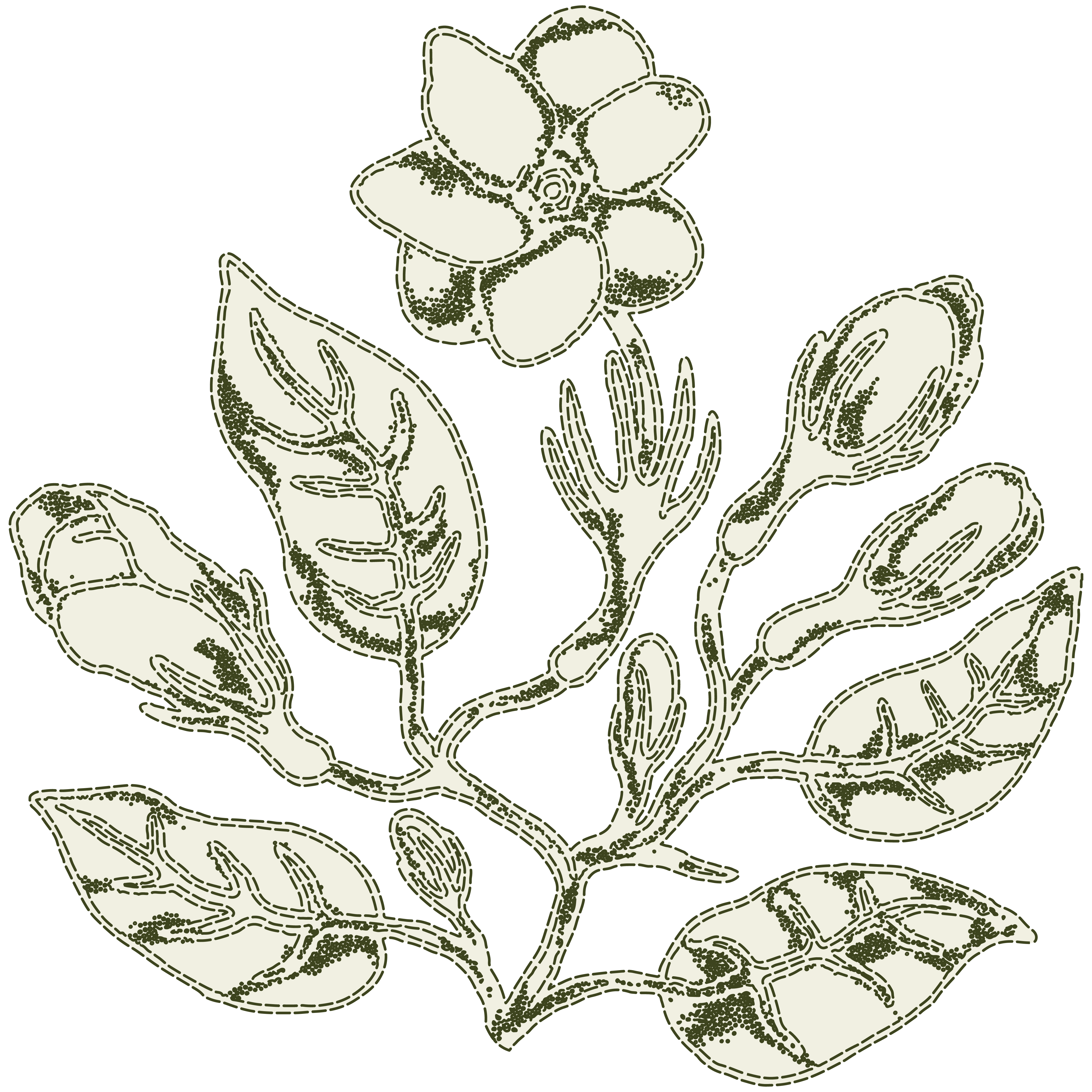 Masanting Sastreria - Illustrations - Sampaguita - Full Flower.png