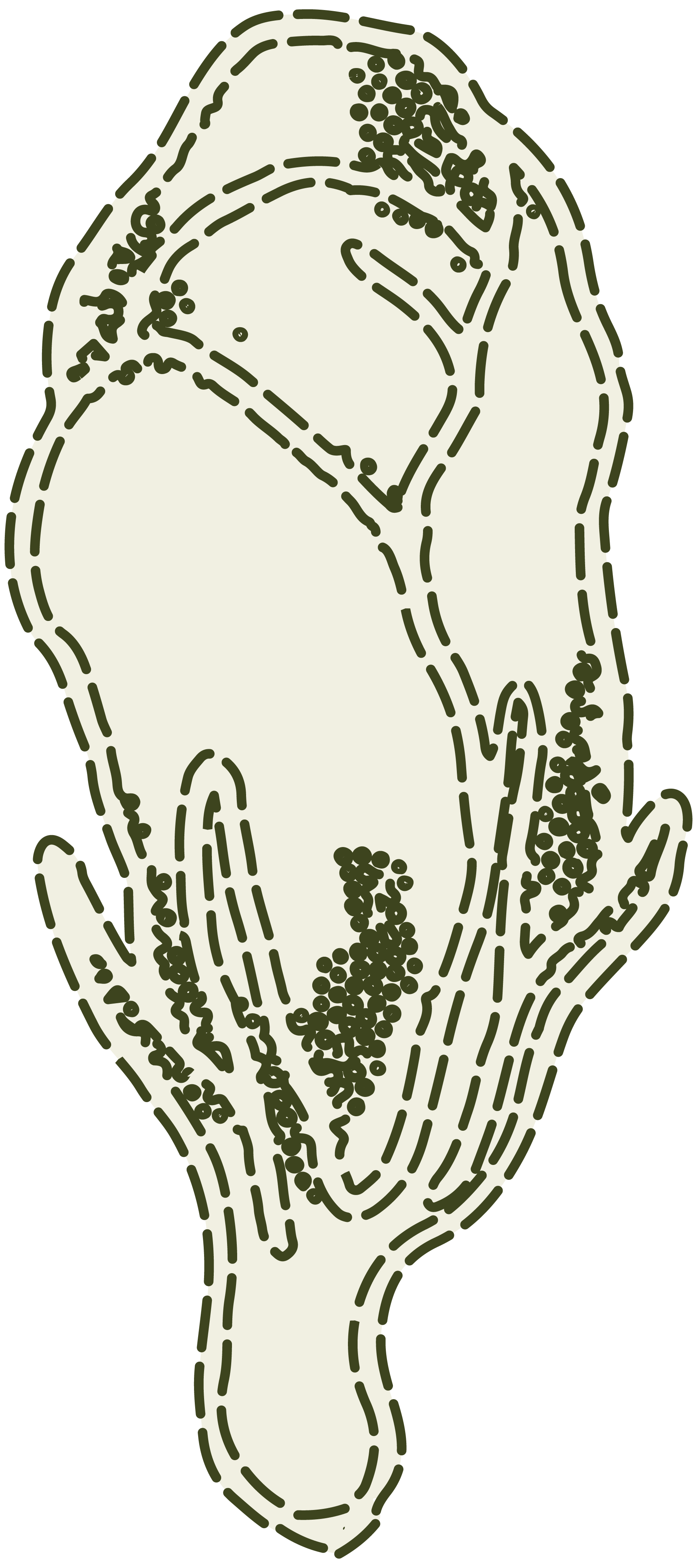 Masanting Sastreria - Illustrations - Sampaguita - Bud 3.png