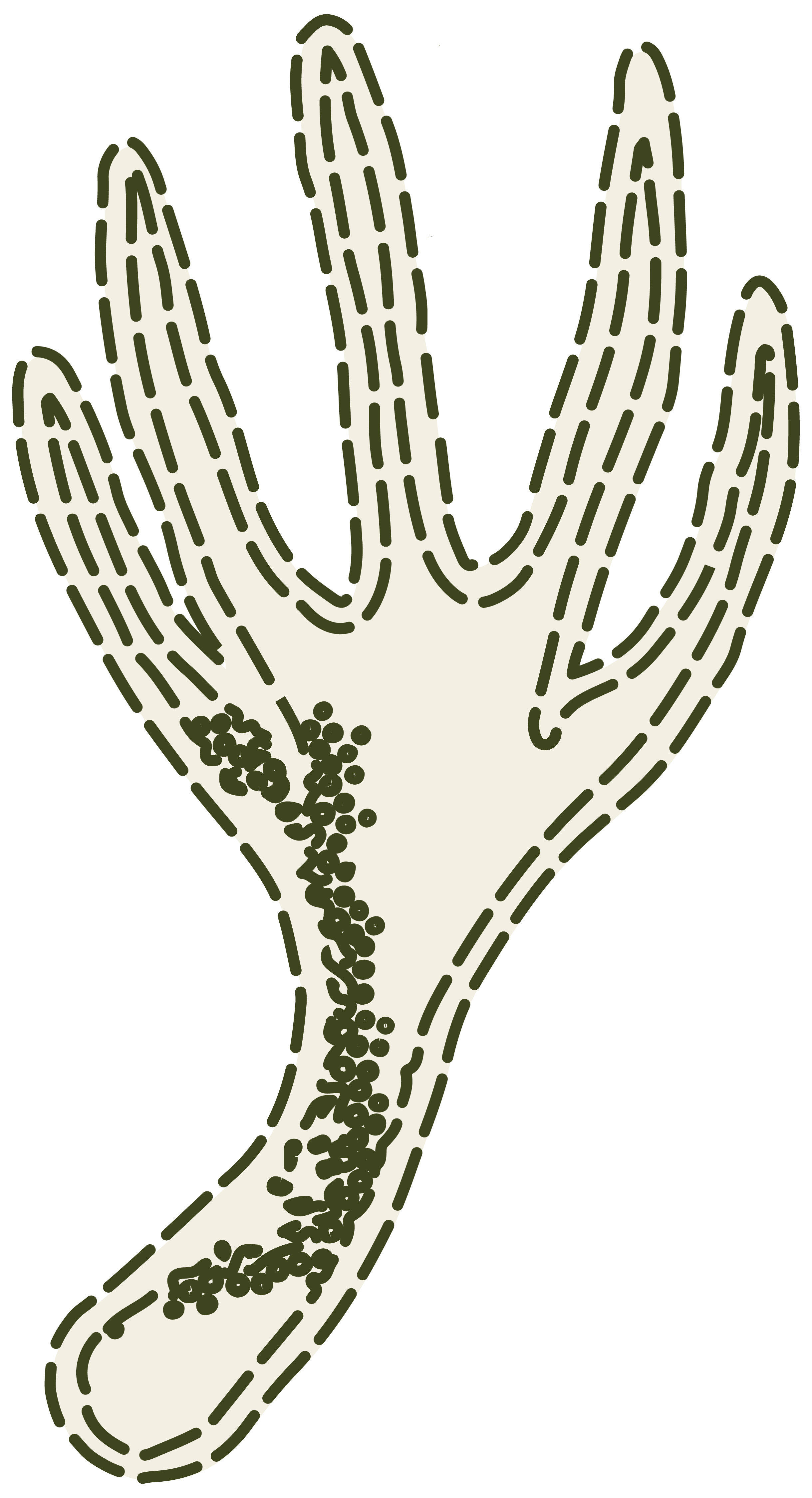 Masanting Sastreria - Illustrations - Sampaguita - Pedicel.png