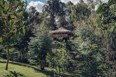 WhatsApp Image 2024-04-01 at 3.37.23 PM.jpeg