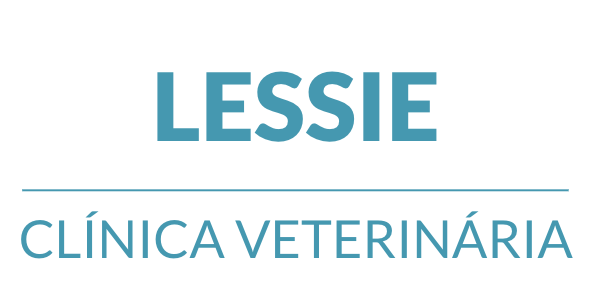 Captura de Tela 2024-10-15 às 09.51.33.png