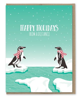 happy-holidays-from-a-distance-1606952896.jpg
