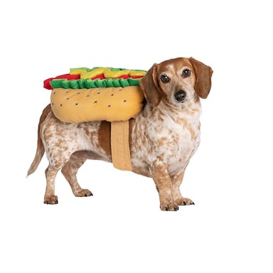 halloween-dog-costumes.jpeg