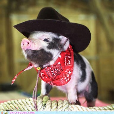 5482d9124ab6d_-_mcx-17-animal-costume-s2.jpg