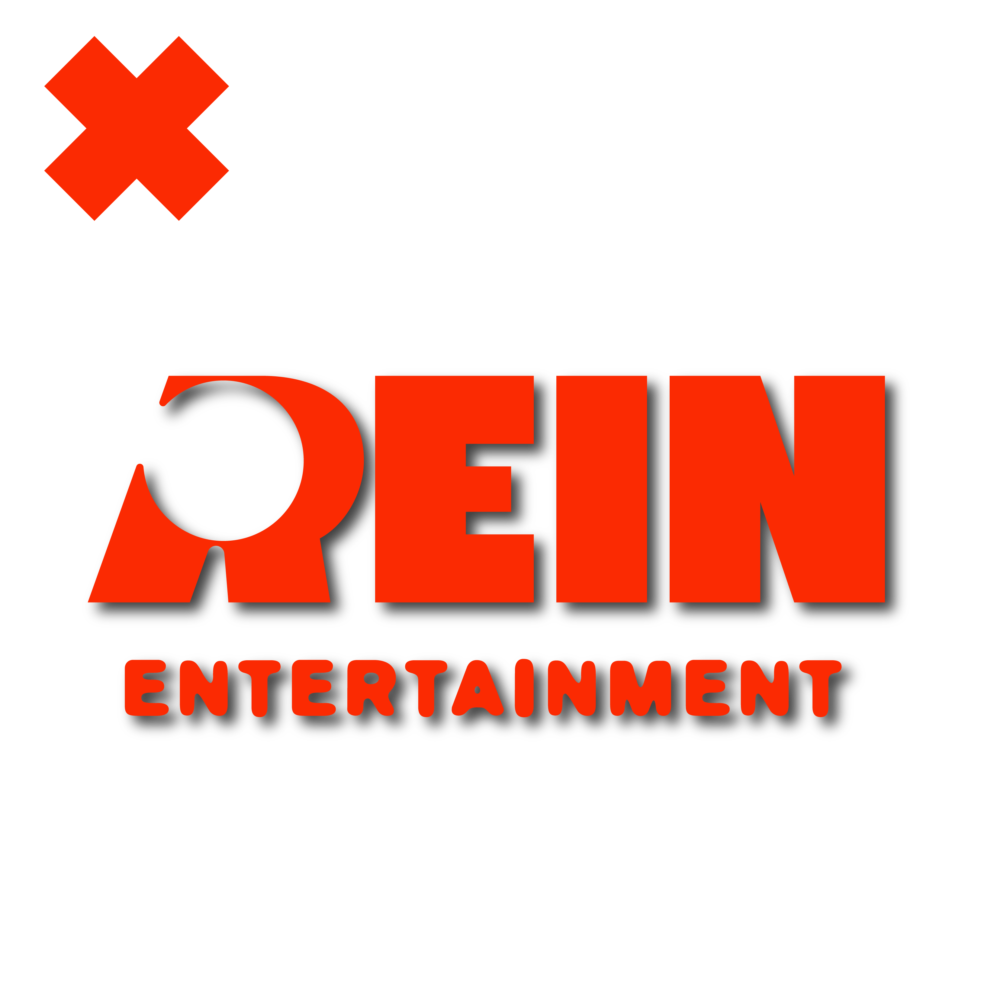 Rein Entertainment - Turnover-50.png