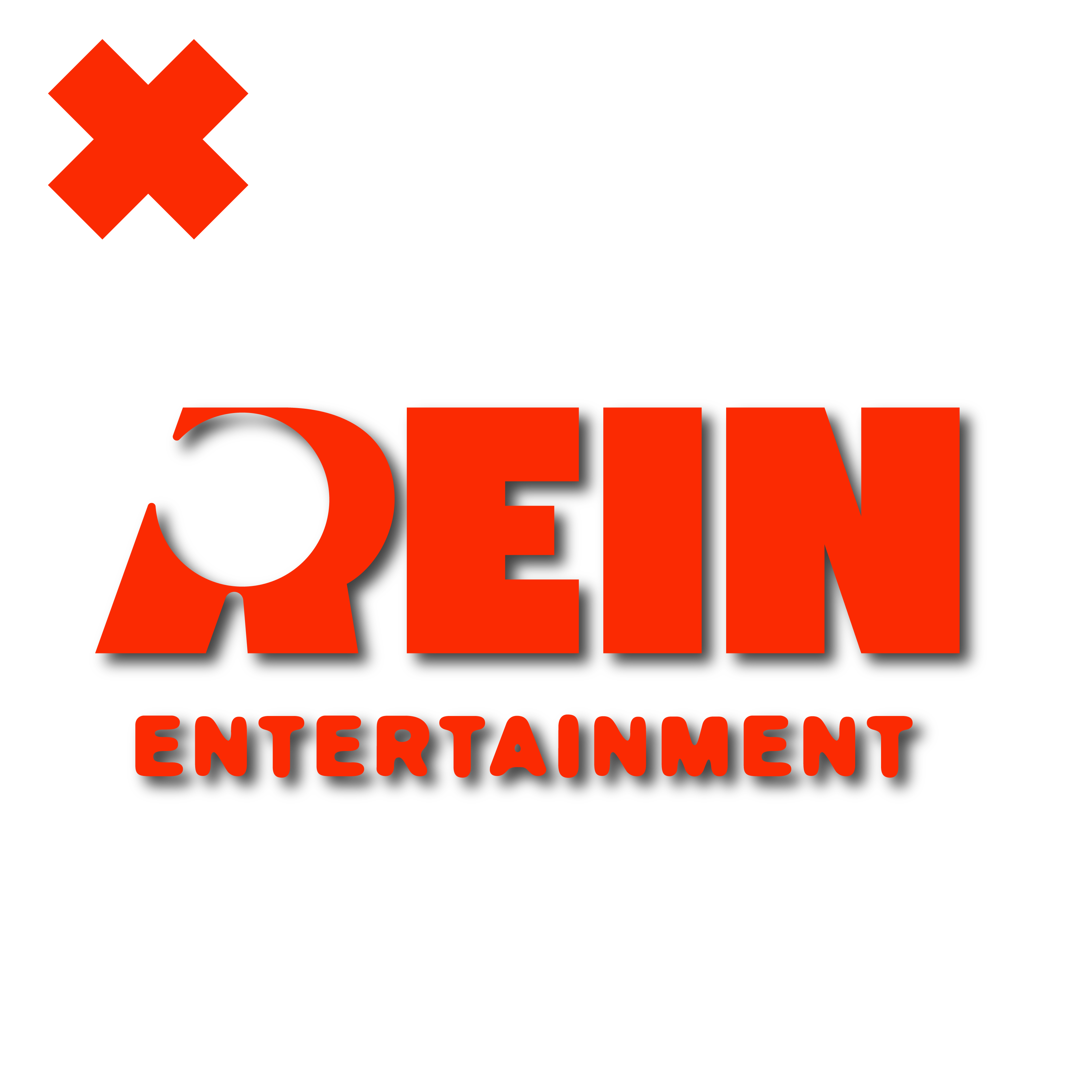 Rein Entertainment - Turnover-50.png