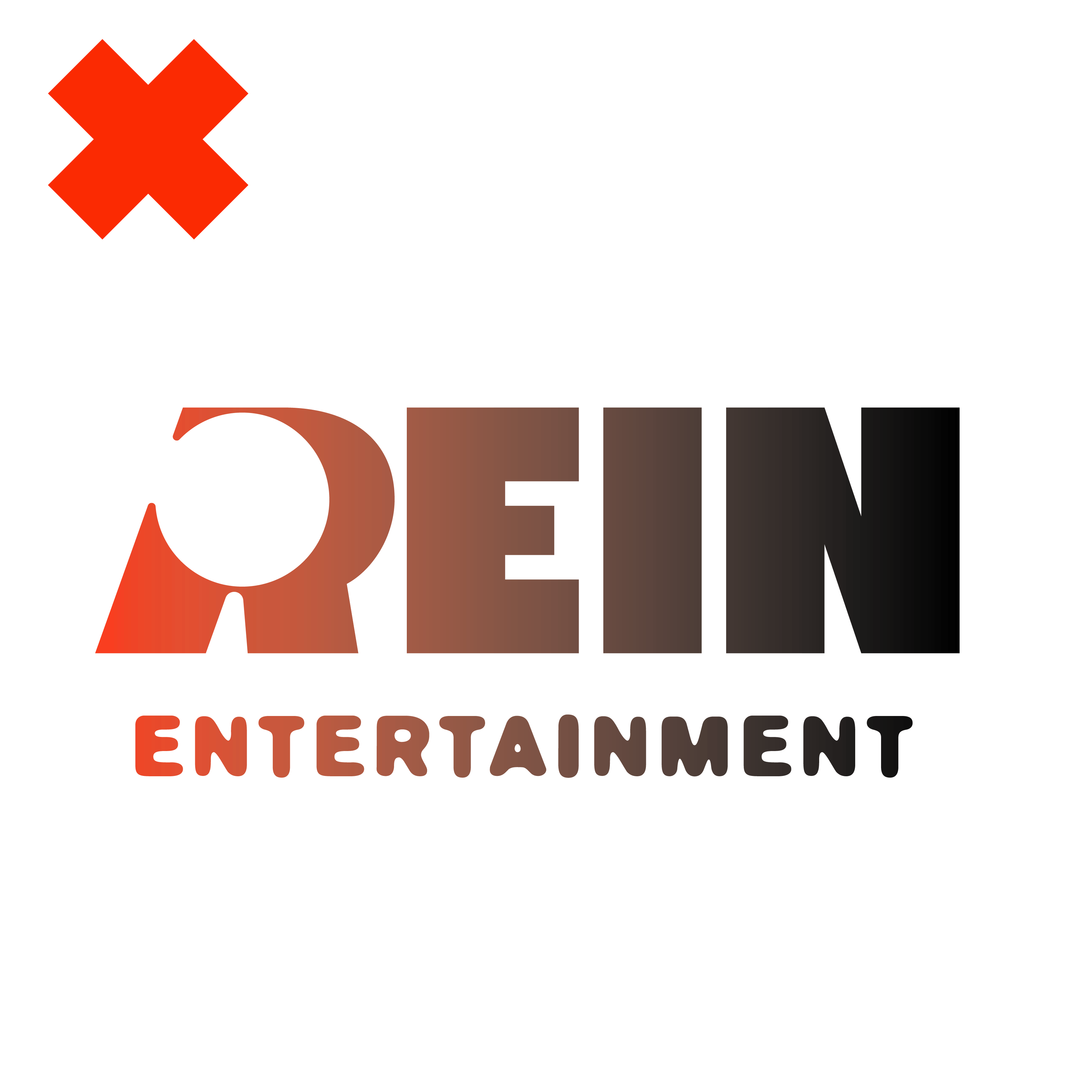 Rein Entertainment - Turnover-48.png