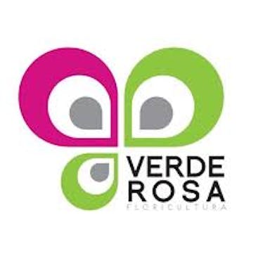 VERDE ROSA FLORICULTURA.jpg