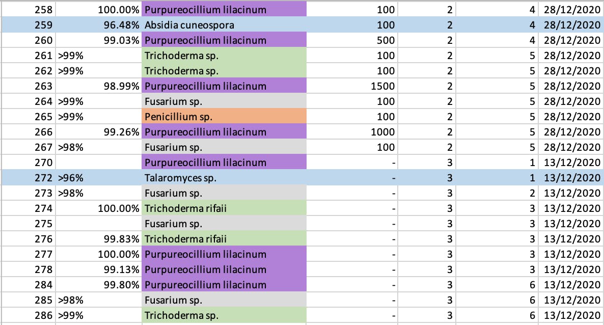 Blast results soil fungi-2.png