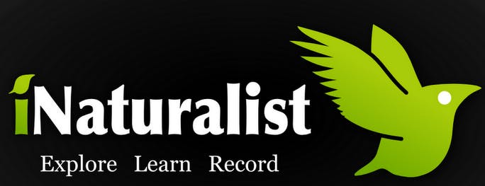 iNaturalist-logo-full.jpg