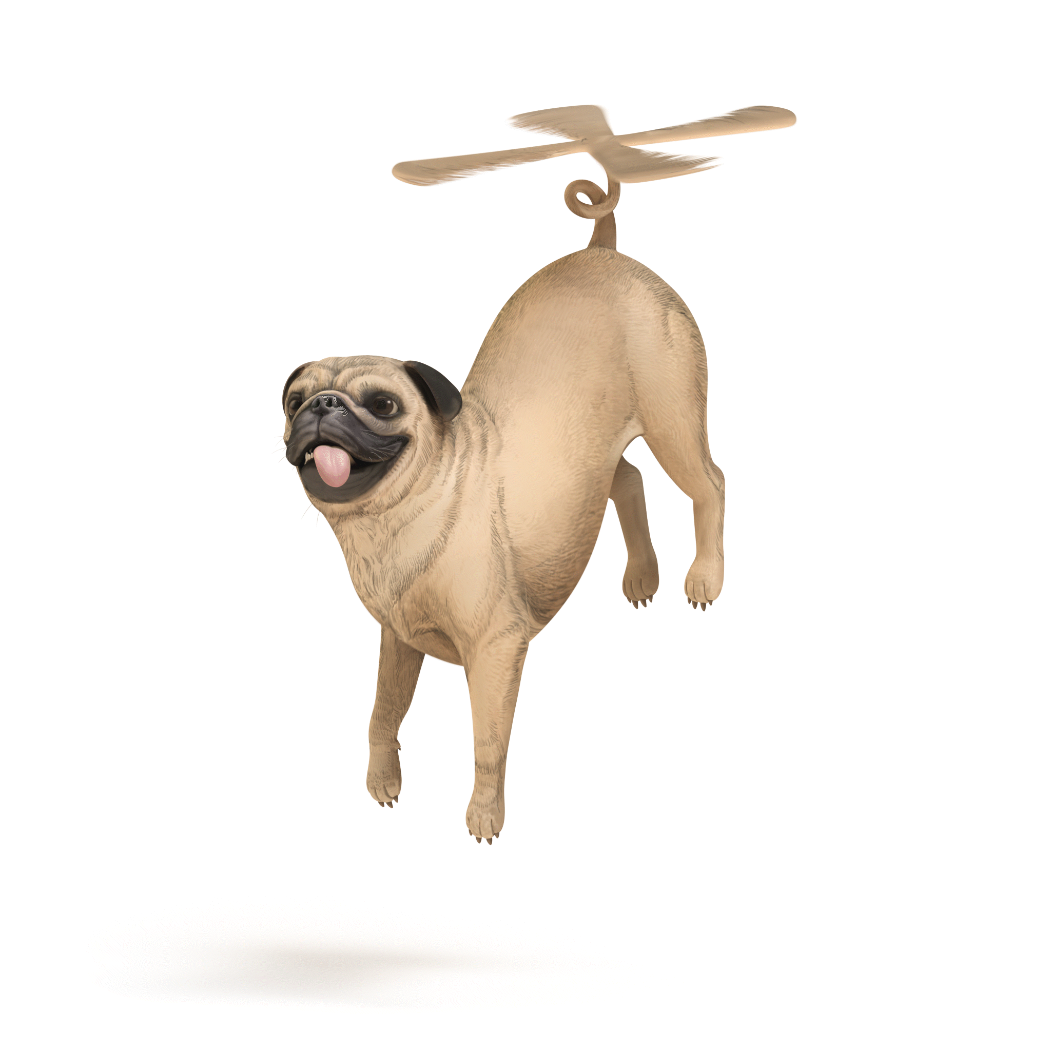 animated-propellerpug.gif