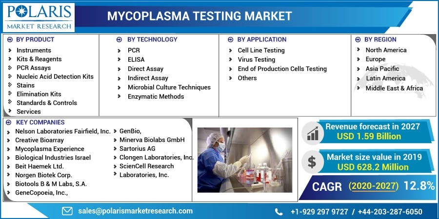 Mycoplasma-Testing-Market.jpg