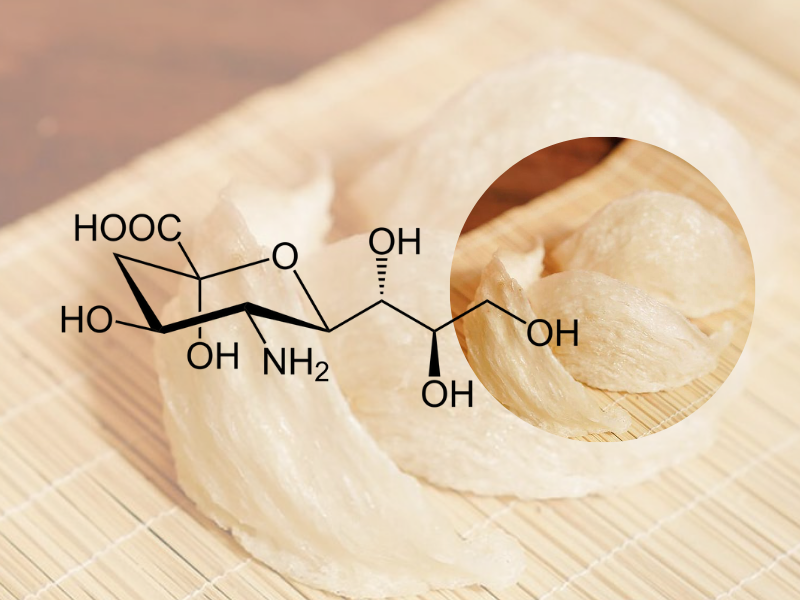 axit sialic trong Yến sào.png