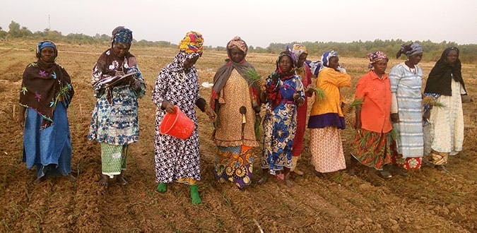Mali_Agriculture_Photo3_1_675pxWide.jpg