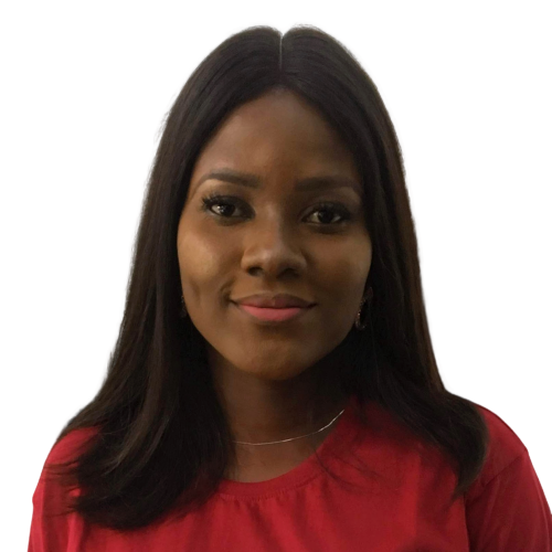 dami passport - Oluwadamilola Soyombo.png