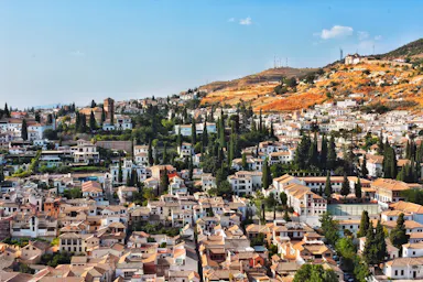 high-angle photography of city and trees
