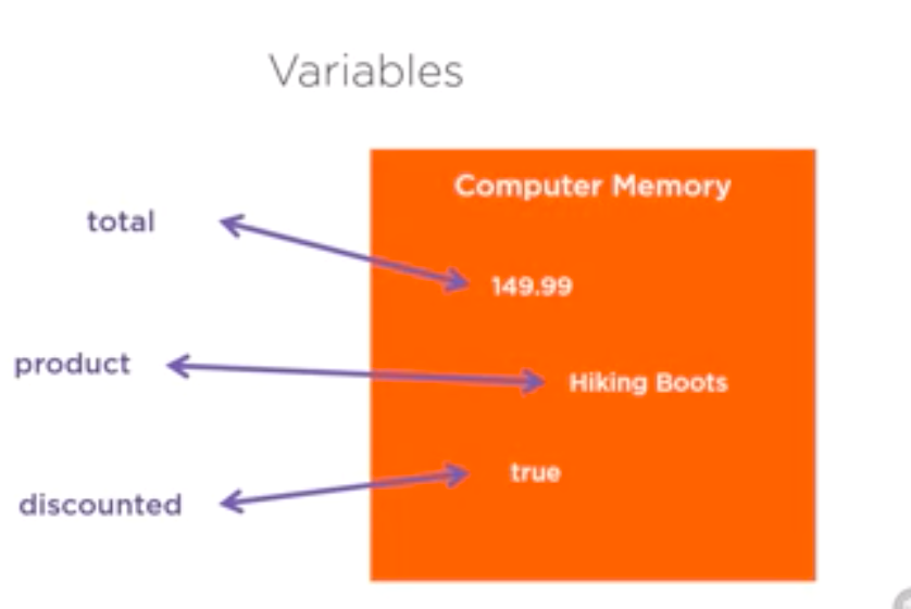 Screen Shot 2020-05-15 at 11.53.41 AM.png