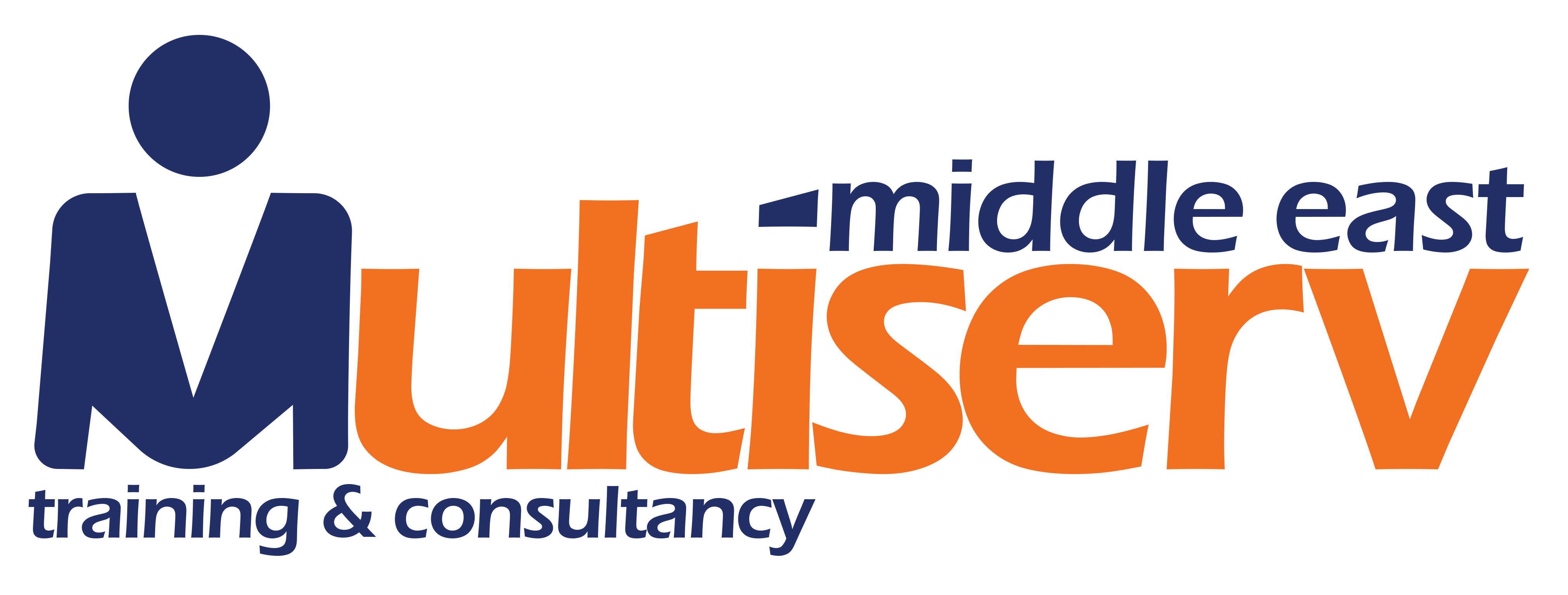 multiserv logo consultancy PNG (1).PNG