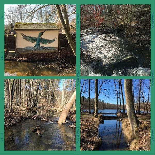 Voyage of Reconnecting - Stoebbertal.jpg