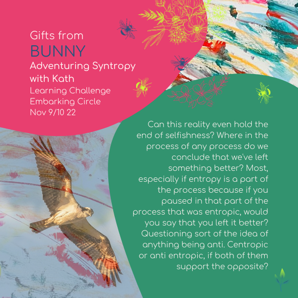 Adventuring Syntropy with Kath - Gifts from Bunny 11-22: Can this reality even hold the end of selfishness? Where in the process of any process do we conclude that we've left something better?