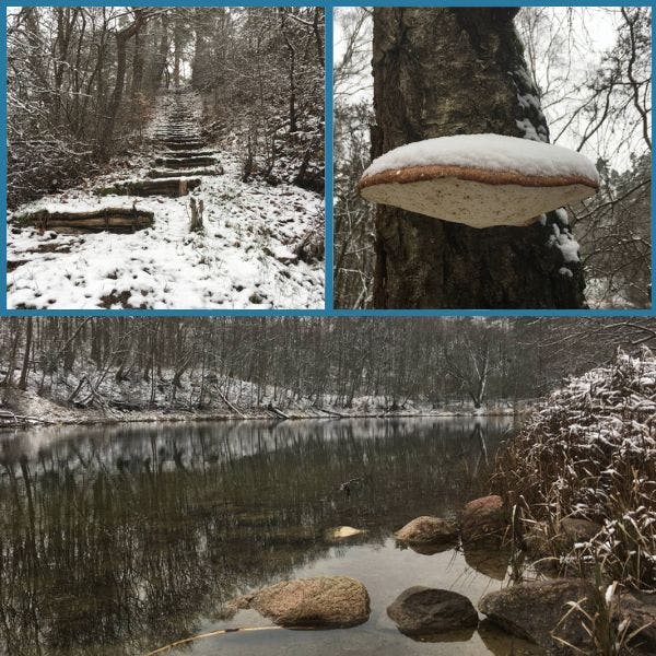 Voyage of Reconnecting - Kiesgruben.jpg